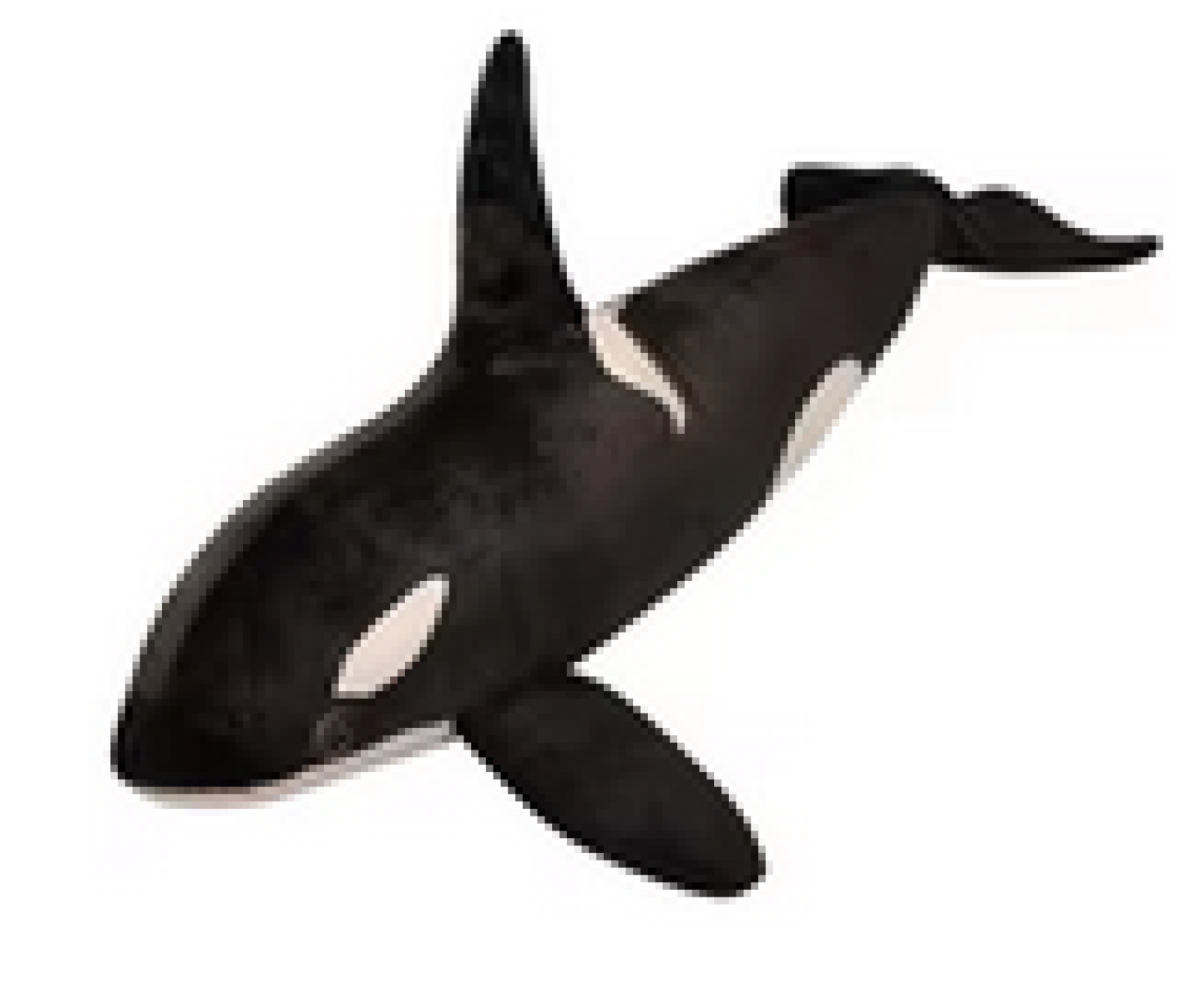 Stuffed Orca Whale Plush Large ArgosyToys